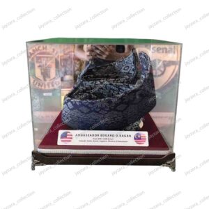 Home elvian arcylic display